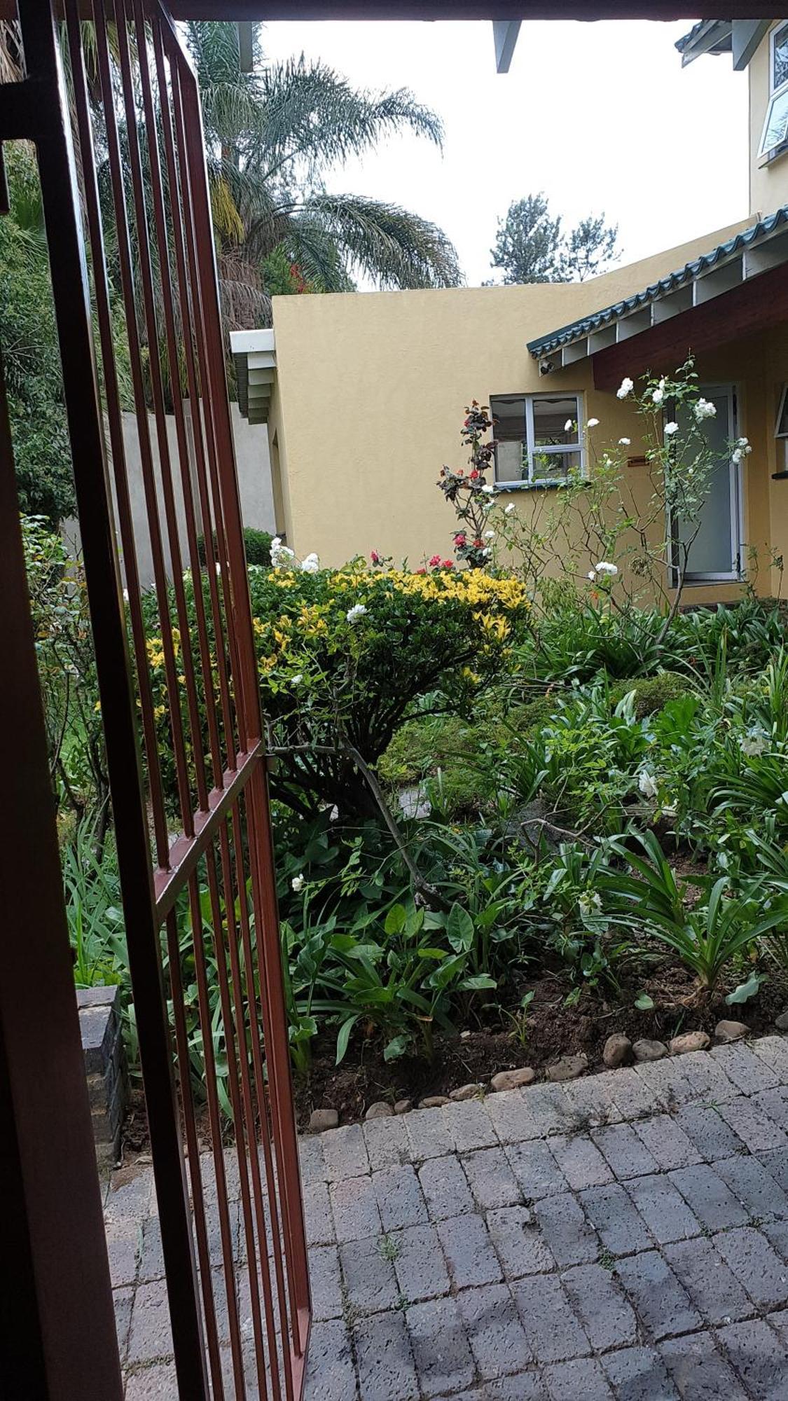 Matina Guest House Johannesburg Szoba fotó